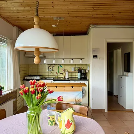 Dunenblick Casa vacanze *